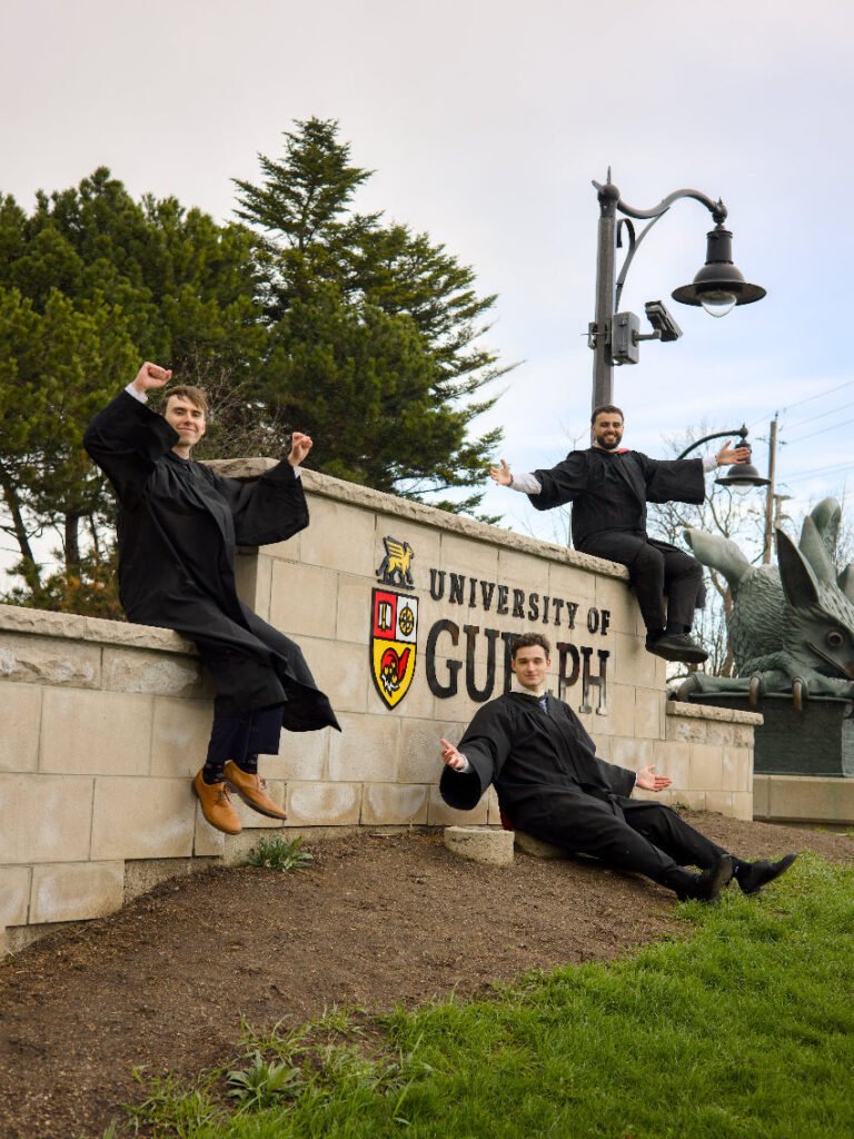 A grad photo of three young Guelph grads on the University of Guelph campus. Three individuals in academic robes are posing in front of the University of Guelph sign; behind them is the Gryphon Statue on the University of Guelph Campus.