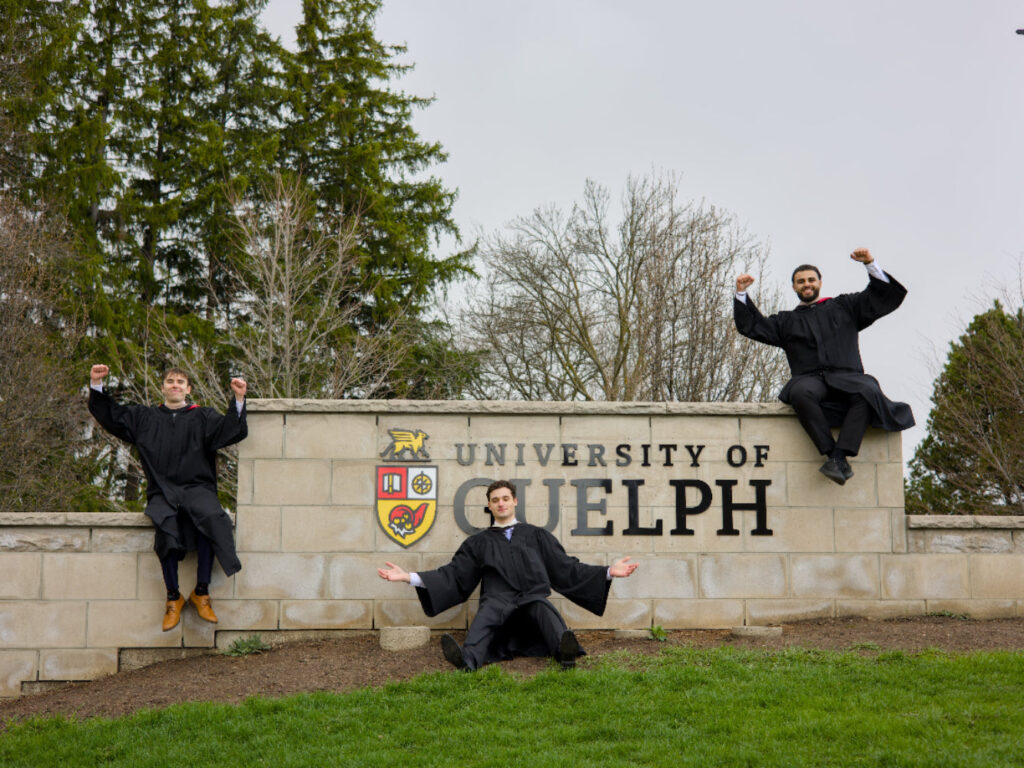 Three individuals in graduation gowns posing on a stone wall with the 'University of Guelph' sign. The photo is from Guelph Grad Photos. The background is the University of Guelph Campus.